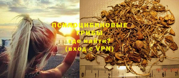 молекула духа Алзамай