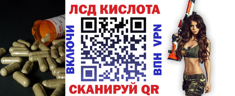 shop Telegram Тогучин ЛСД экстази кислота