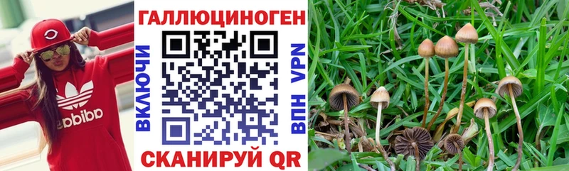 Галлюциногенные грибы Magic Shrooms Тогучин