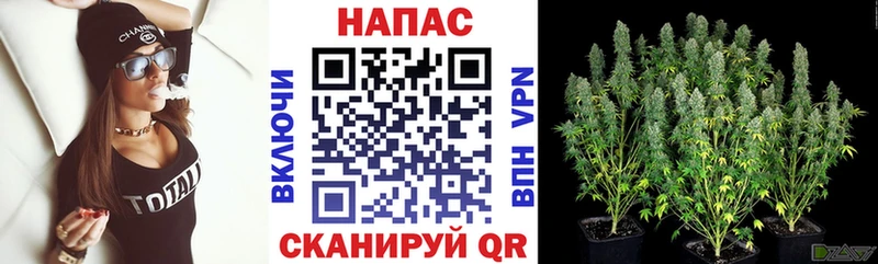 ОМГ ОМГ зеркало  Тогучин  Бошки Шишки семена 